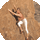 Trekking au Népal